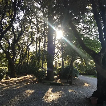 La Romanella Bb Bed and breakfast